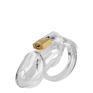 Advance Chastity Cage Penis Lock